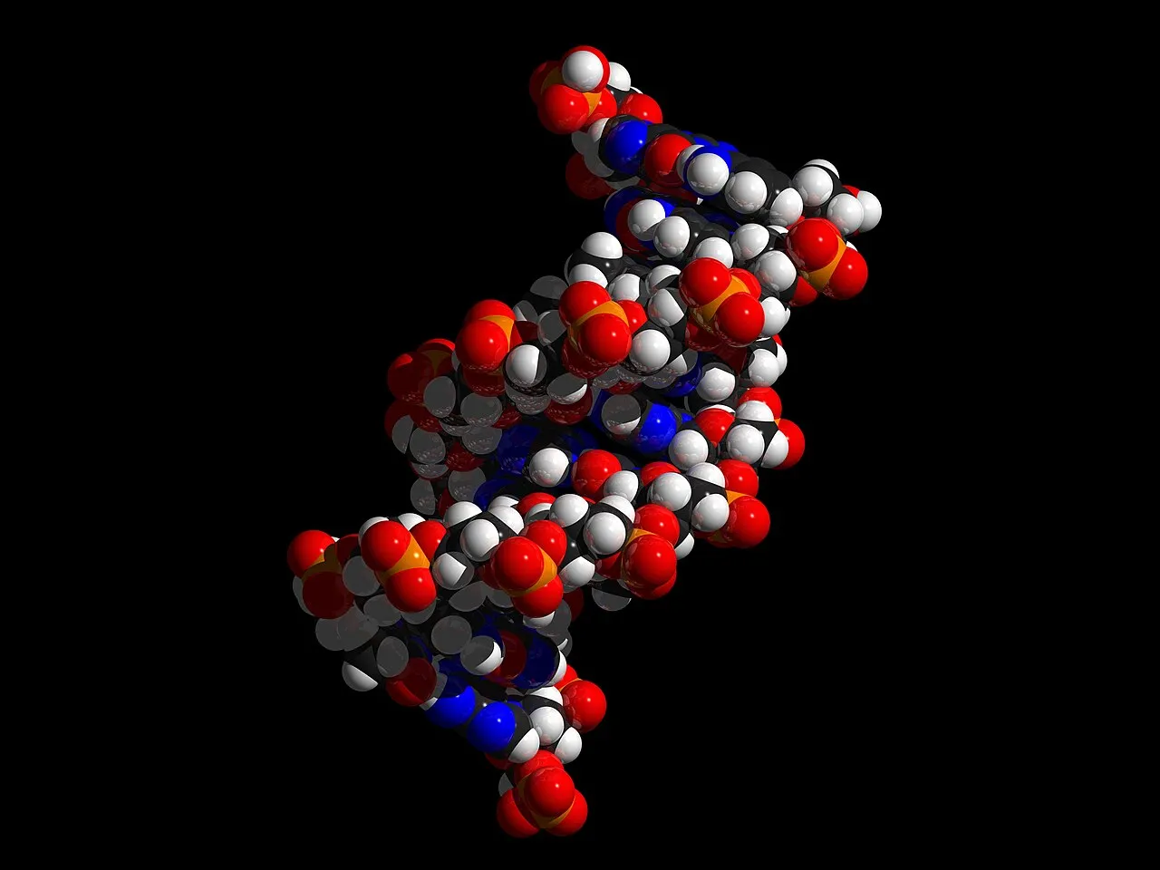 Semaglutida: El Péptido de Investigación que Transforma la Regulación del Apetito y el Control de la Glucosa