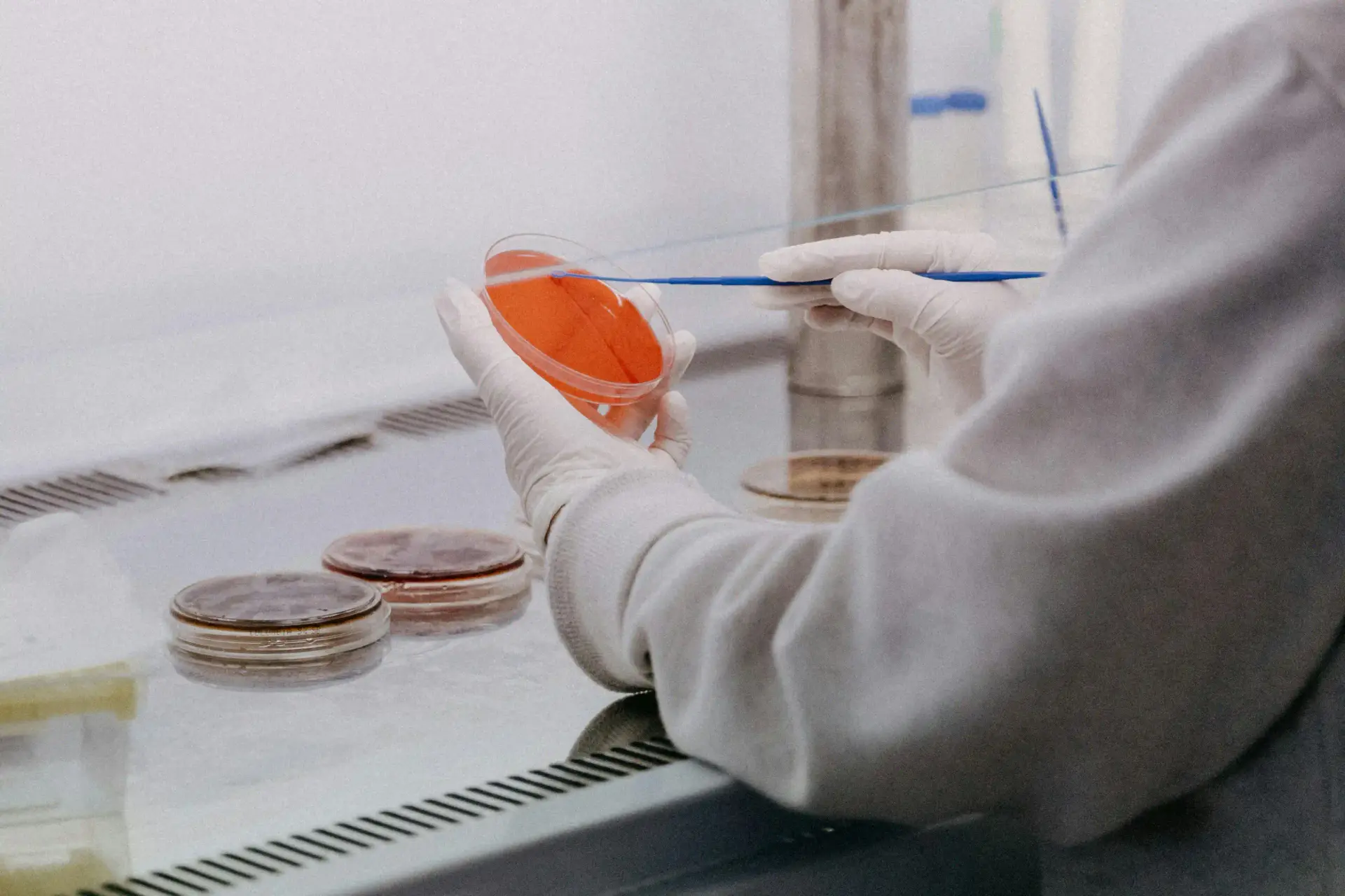 GHRP-6 vs Ipamorelin: A Research Comparison